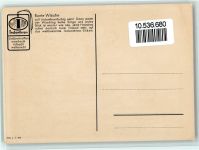 1128 a 7 400 - Waschtag , bunte Wäsche, gute Erhaltung Indanthren