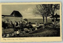 84529 W8261 Tittmoning - Burg mit Paraphu