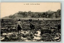 80460 Ault - la Peche aux Moules