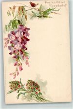 Resedaduft Schmetterling AK Duftkarte 1900 Lithographie