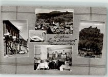 76891 W6749 Bundenthal Foto AK Gasthaus zum Schwanen VW Käfer Fladenstein Foto Metz