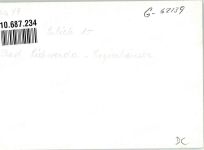 Lazne Libverda Bad Liebwerda FOTO KEINE AK Ort handschriftlich