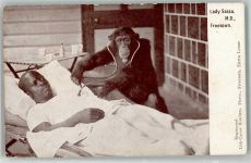 Affe Lady Sassa Freetown Schwarzafrikaner