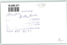 67471 W6738 Elmstein FOTO KEINE AK Gasthaus Linde Ort handschriftlich