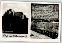 67316 W6719 Altleiningen Foto AK Burg Zwanzigröhrenbrunnen