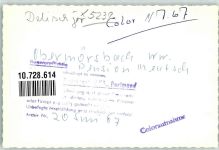 57629 W5239 Obermörsbach FOTO KEINE AK Pension Meutsch Ort handschriftlich