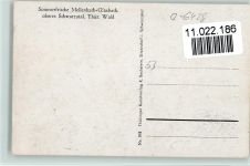 98746 O6428 Mellenbach-Glasbach - oberes Schwarzatal