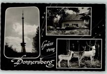 67814 W6765 Dannenfels , Pfalz - Waldhaus Donnersberg Tiergehege Hirsch Rehe Turm 3-Bidlaufnahme