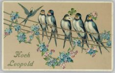 Hoch Leopold - Schwalben mit Vergissmeinnicht - Golddruck, Litho Präge Schwalbe Folienkarte / Lackkarte