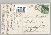 Hoch Leopold - Schwalben mit Vergissmeinnicht - Golddruck, Litho Präge Schwalbe Folienkarte / Lackkarte