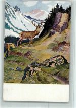 Serie II, 3 - Ludwig Hoeß - Hochwaldleben - Jagdtiere Verlag Jugend Künstlerkarte