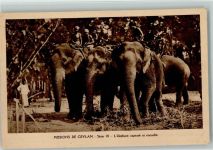 Mission in Ceylon - Serie IX Arbeits-Elefanten Elefant