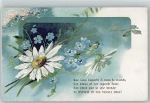 und Margeriten , Gedicht litho , Serie 56 Nr. 12 AK Vergissmeinnicht Prägedruck