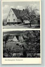 51545 W5220 Waldbröl 1959 - Pension Haus Wiesengrund AK