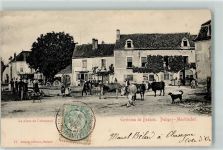 21190 Puligny-Montrachet - la Place de l`abreuvoir Kühe Envions de Beaune