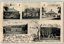31832 W3213 Eldagsen , Deister 1906 - Gruss Saupark Forsthaus Jägerhaus Mühlenbrink Eispfad Kaiserliches Jagdschloss Springe Wildschweinfütterung