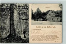 W3388 Eckertal Waterloo Buche Gasthaus Eckerkrug Baum