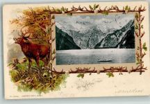 83471 W8240 Königssee b Berchtesgaden Prägedruck Hirsch Königssee Ruderboot Passepartout