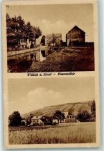 54516 W5560 Wittlich - Hasenmühle