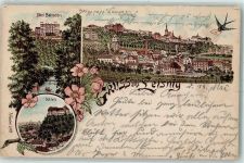 04703 O7320 Leisnig 1896 Gebrauchsspuren Hotel Belvedere Schloss Schwalbe Lithographie