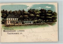 07639 O6532 Bad Klosterlausnitz 1900 Lithographie Gruss aus - Waldschlößchen Restaurant AK