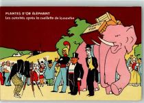 Fotograph Kamera Plantes D'Or Elephant Les autorites apres la cueillette de lamenthe Elefant