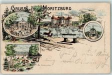 01468 O8105 Moritzburg 1897 Lithographie Fasanen Schlösschen Futterplatz Gasthaus Au bon marche Wild Bank