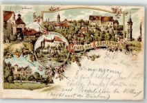 90556 W8501 Cadolzburg 1897 Lithographie Cadolzburg Aussichtsturm Burgausgang