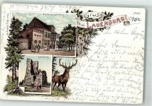 06507 O4301 Stecklenberg 1896 Lithographie Lauenburg Gasthaus zur Lauenburg Hirsch