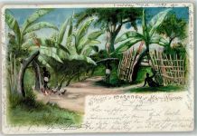 1899 Lithographie Marangu Straße Kilima Ndscharo