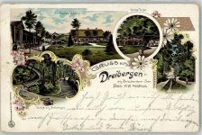 26160 W2903 Dreibergen 1902 Lithographie Große Linde