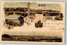 87637 W8959 Seeg 1898 Lithographie Badesee Pavillon Alpenpanorama