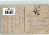 64673 W6144 Zwingenberg , Bergstr 1925 Privatfoto AK Der Lindenhof