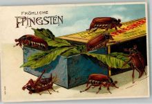Käfer krabbeln aus der Zigarrenkiste Pfingsten Maikäfer 1907 Prägedruck
