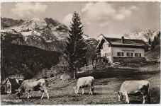 82467 W8100 Garmisch um 1950/60 - Garmisch-Partenkirchen, Partnach-Alm AKU1