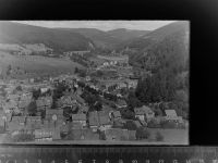 38685 W3394 Lautenthal GLASNEGATIV