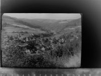 57319 W5920 Elsoff , Kr Wittgenstein GLASNEGATIV