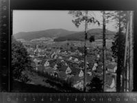 79215 W7807 Elzach GLASNEGATIV