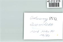 87545 W8978 Ortwang i Allgäu FOTO KEINE AK Rosenstüble