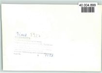 57339 W5927 Zinse FOTO KEINE AK