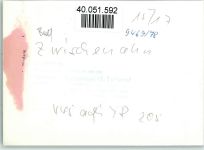 26160 W2903 Bad Zwischenahn FOTO KEINE AK Luftaufnahme