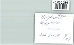 48565 W4430 Borghorst , Westf FOTO KEINE AK Hauptstraße