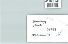 78176 W7712 Blumberg , Baden FOTO KEINE AK Schule