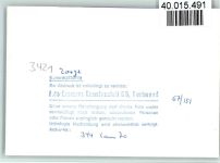 37449 W3421 Zorge FOTO KEINE AK