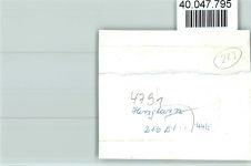 33165 W4791 Henglarn FOTO KEINE AK