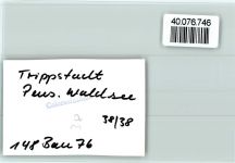67705 W6750 Trippstadt FOTO KEINE AK Cade Waldsee