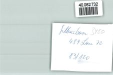 37603 W3450 Silberborn FOTO KEINE AK Baden im See