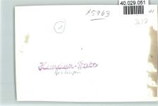 57482 W5963 Gerlingen , Biggetal FOTO KEINE AK Gasthof Conze