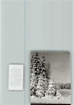 W3450 Neuhaus im Solling Verschneite Tannen Baum FOTO KEINE AK