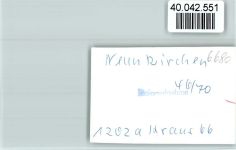 66538 W6680 Neunkirchen , Saar FOTO KEINE AK Katholische Kirche
